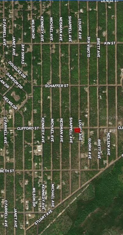 LOT 36 Louise Ave., Interlachen, FL 32148