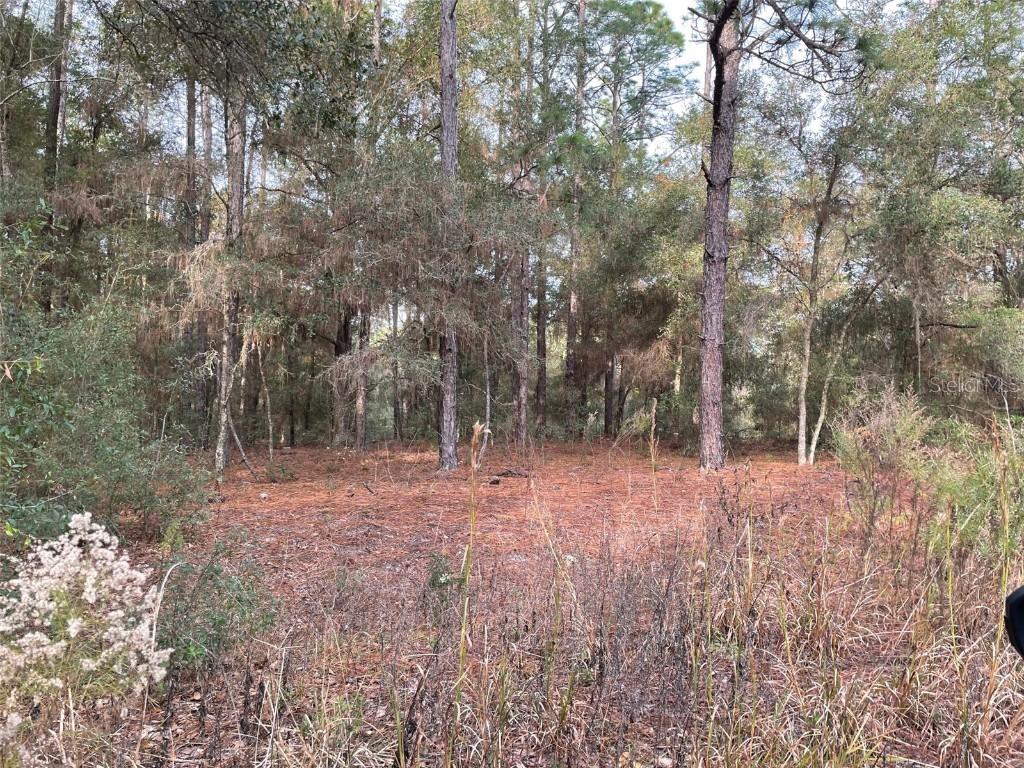 LOT 9 SW 152nd Ave., Ocala, FL 34481