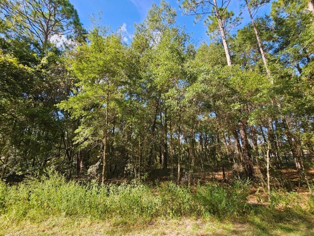 TBD SW 21st Pl., Ocala, FL 34481