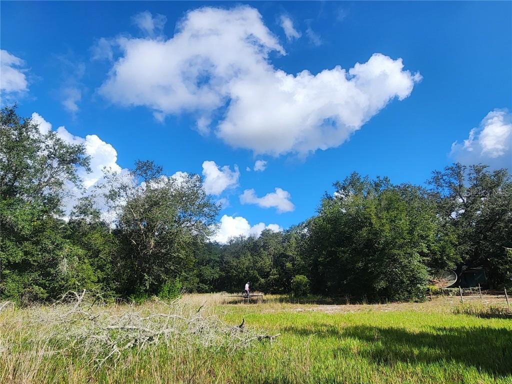 217 Lakeview Dr., Melrose, FL 32666