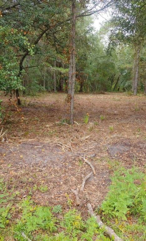 NE 148th Terrace Rd, Fort Mc Coy, FL 32134