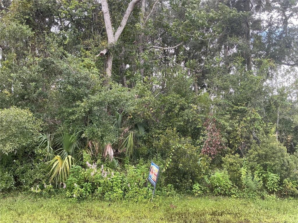 91 Palmwood Dr., Palm Coast, FL 32164
