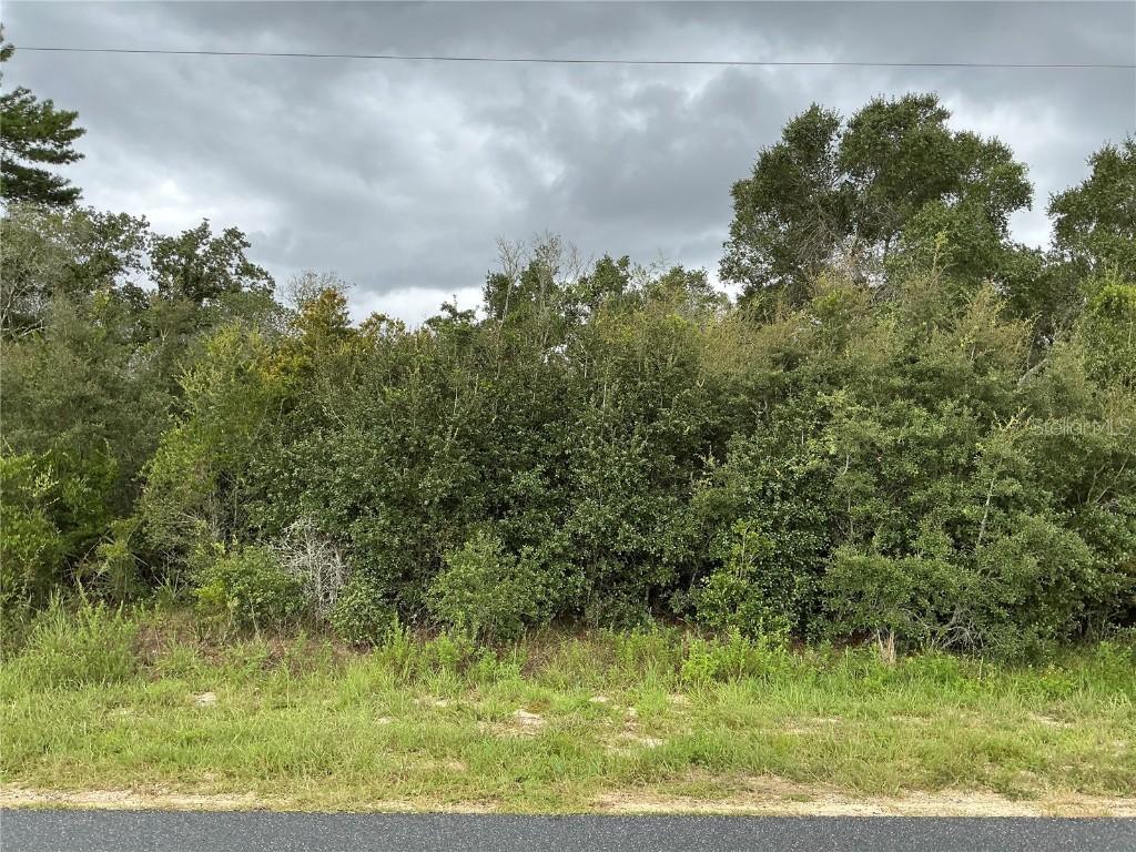 SW 110th St., Ocala, FL 34476