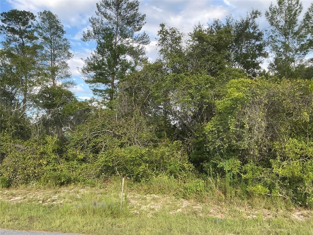 SW 35th Ave Rd., Ocala, FL 34473