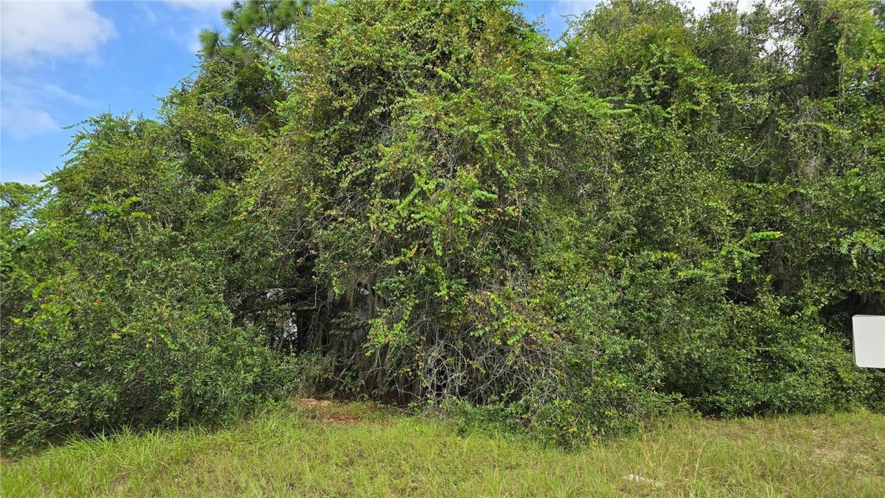 2323 S Hicks Grove Rd., Inverness, FL 34450