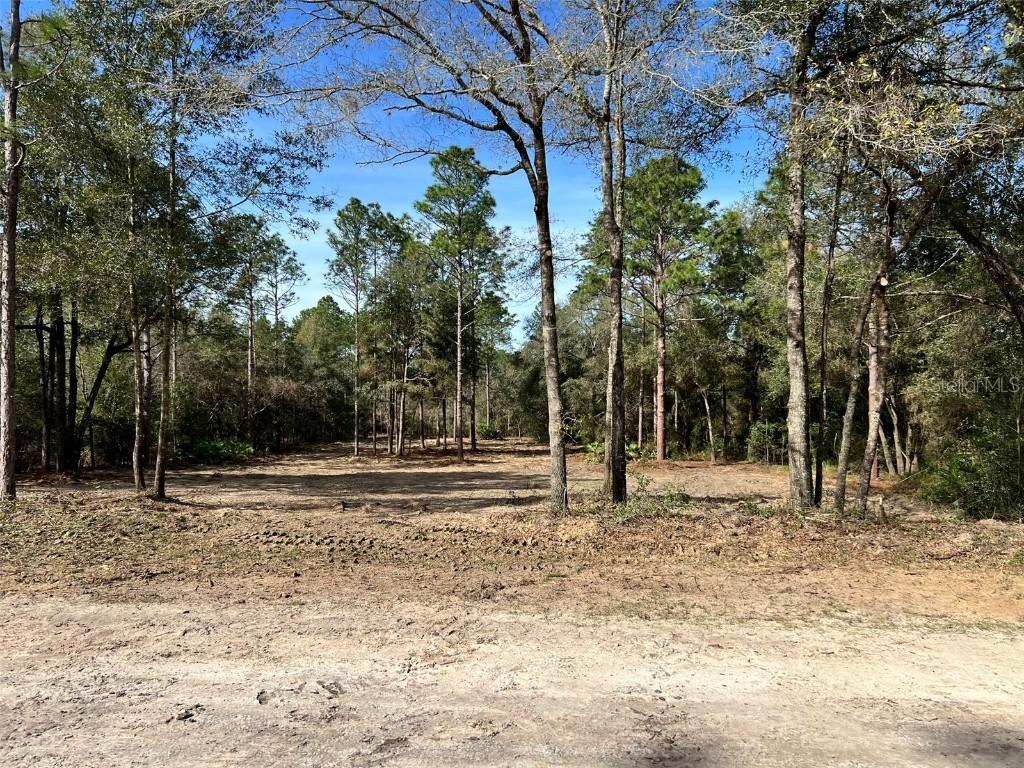 Lot 103 SW 60th Lane Rd., Ocala, FL 34481