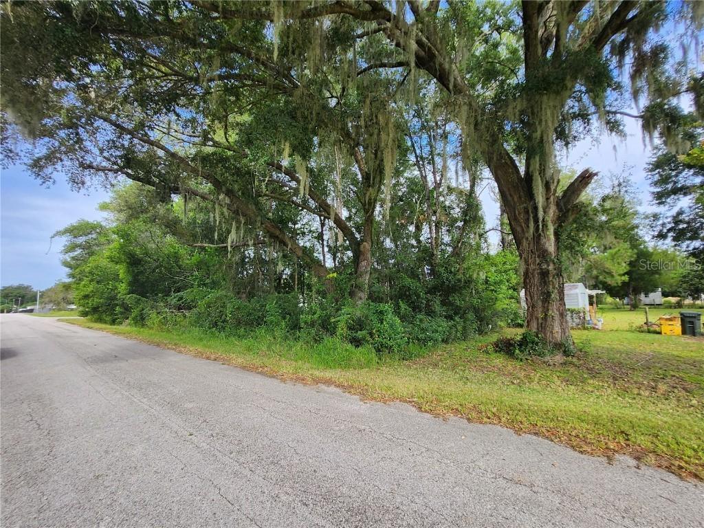 TBD SE 40 Ct., Summerfield, FL 34491