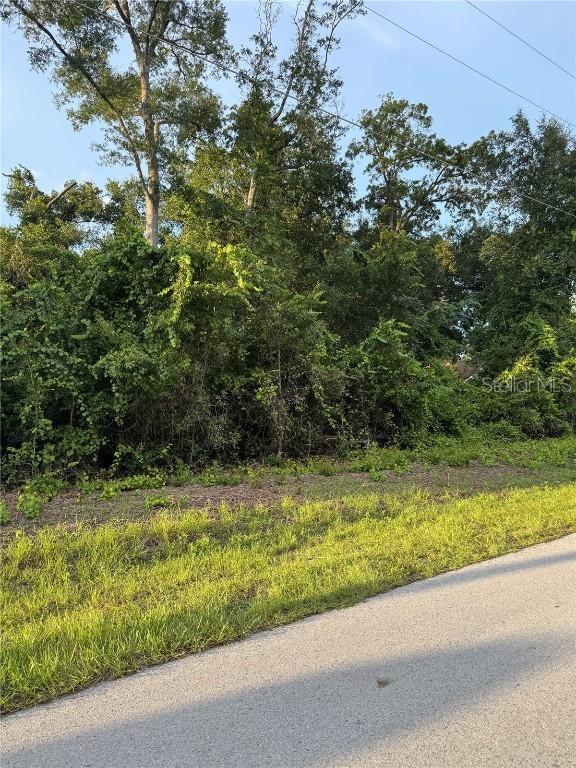 TBD SE 83rd Ct., Summerfield, FL 34491
