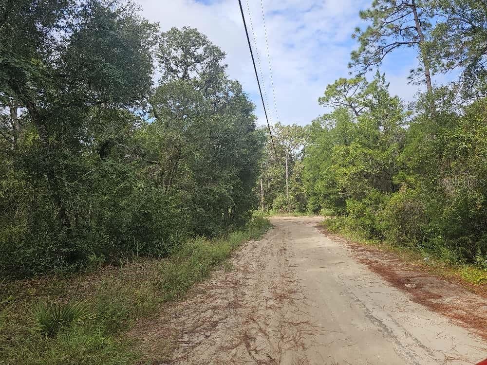 SE 92nd Pl., Ocklawaha, FL 32179