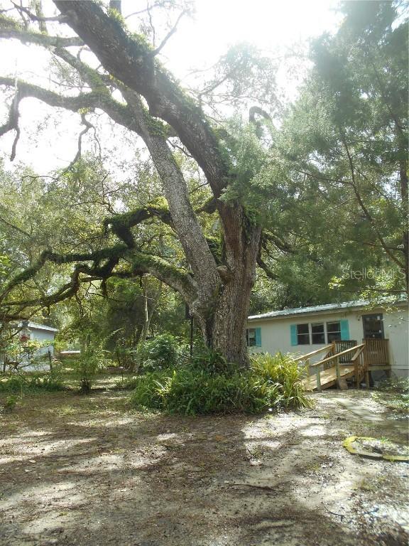 20425 NE 143rd St., Fort Mc Coy, FL 32134