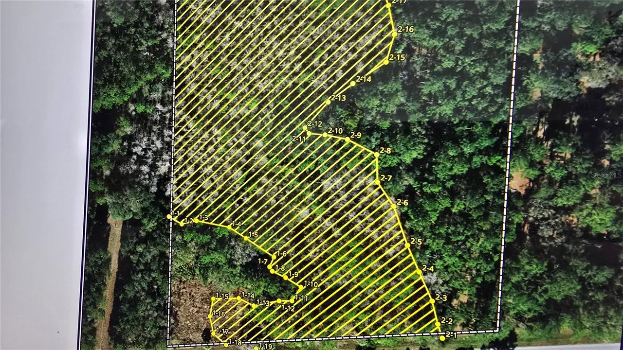 E Highway 316, Fort Mc Coy, FL 32134