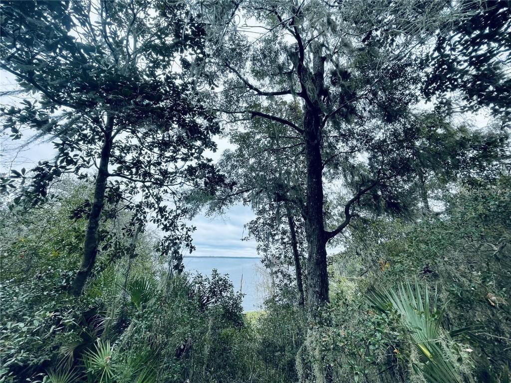 TBD Ne 245th Street Road, Fort Mc Coy, FL 32134