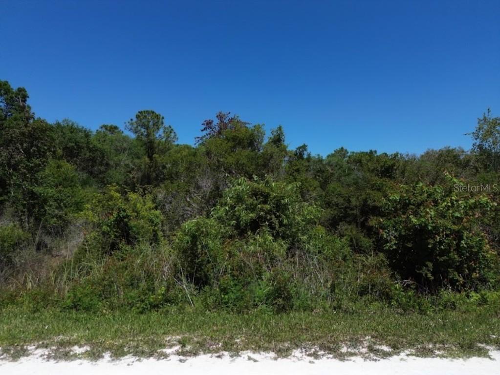 33455 Berryhill Dr., Webster, FL 33597