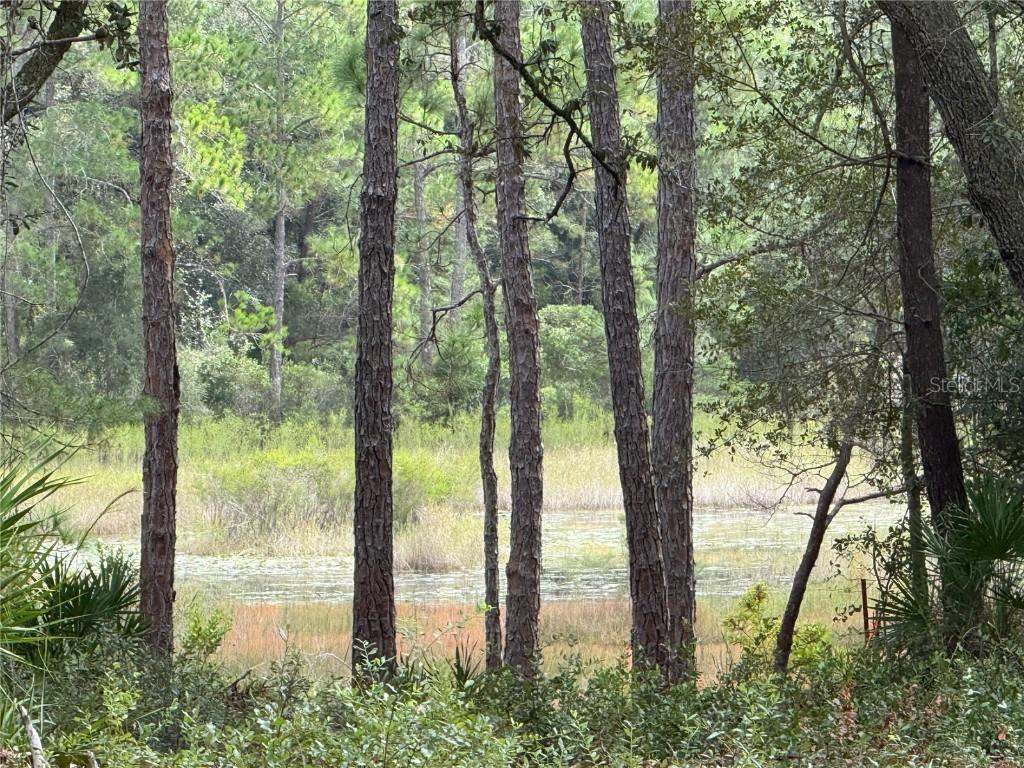 NE 114th Avenue Rd., Fort Mc Coy, FL 32134