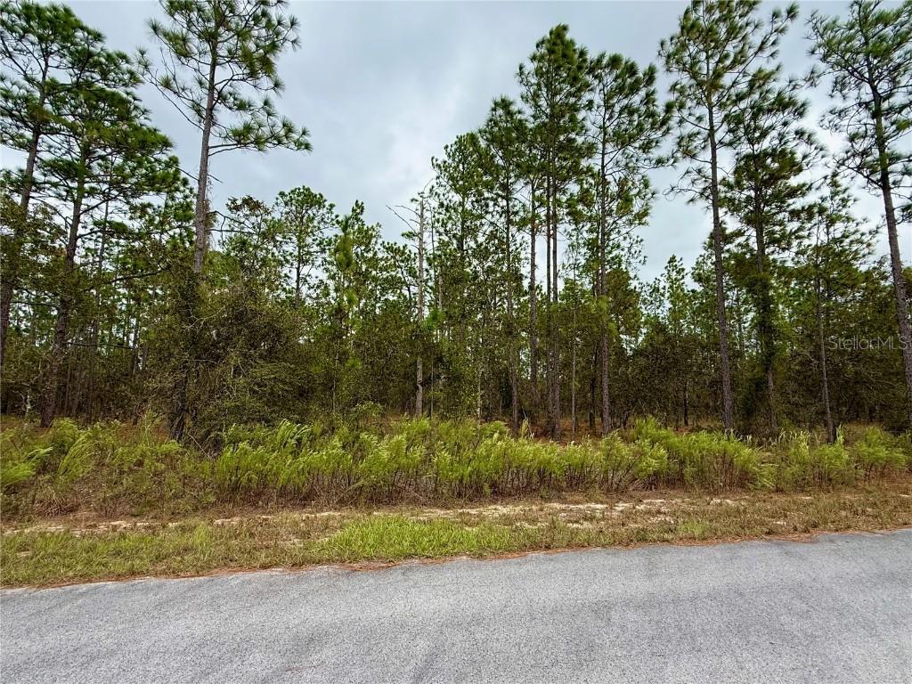 NW Alvarez Rd., Dunnellon, FL 34431