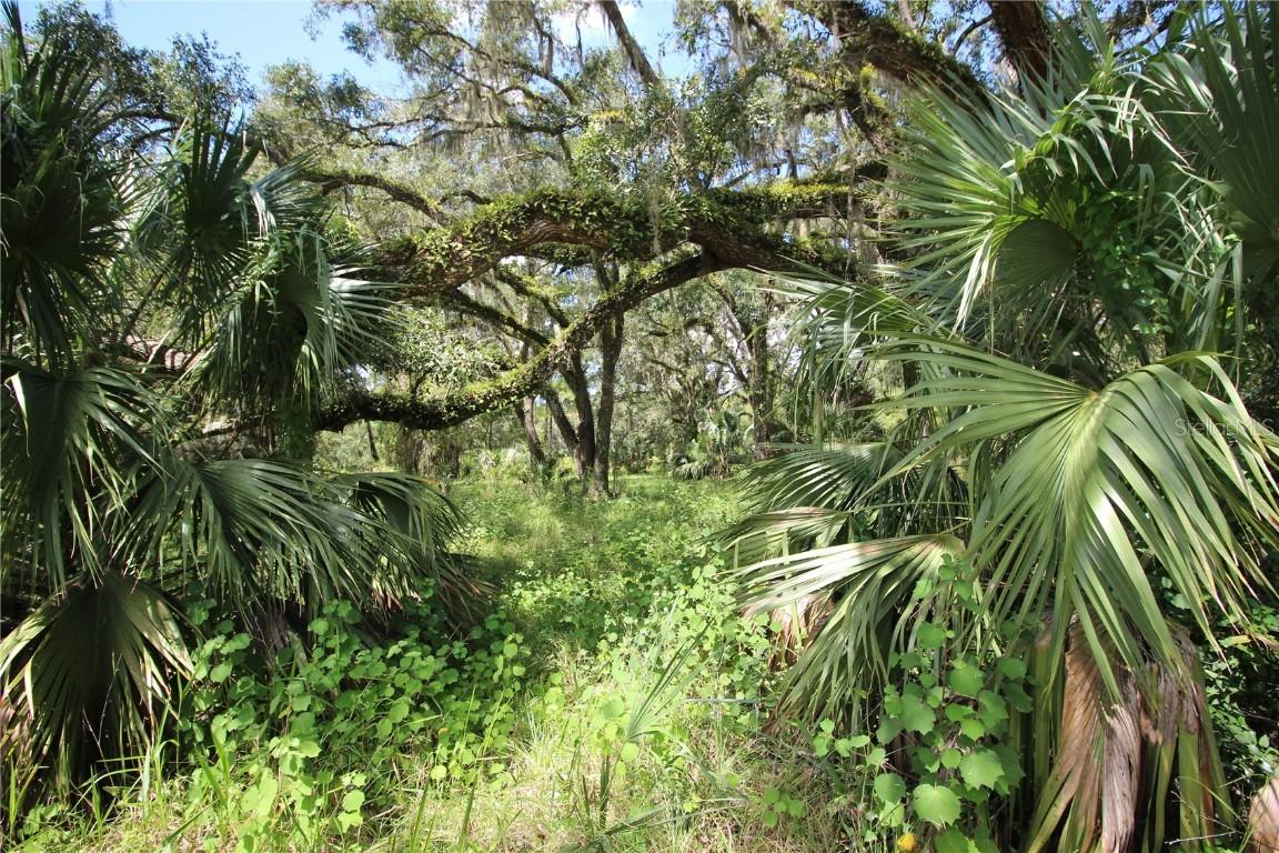7730 SE 3rd Ter., Inglis, FL 34449