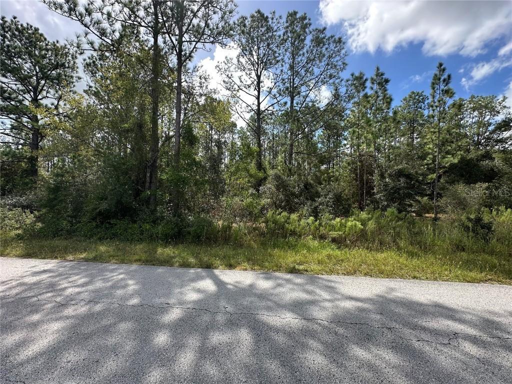 TBD SW Audubon Ave., Dunnellon, FL 34431