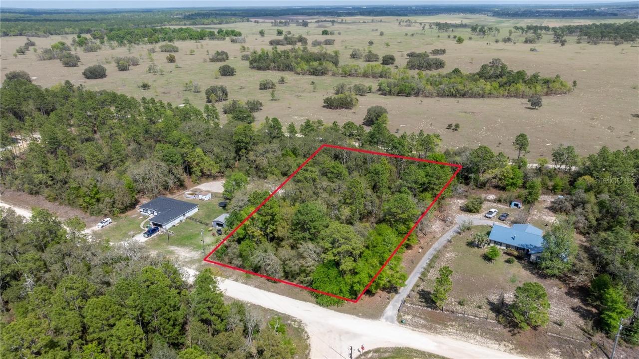 TBD SW 121st Ter., Dunnellon, FL 34432