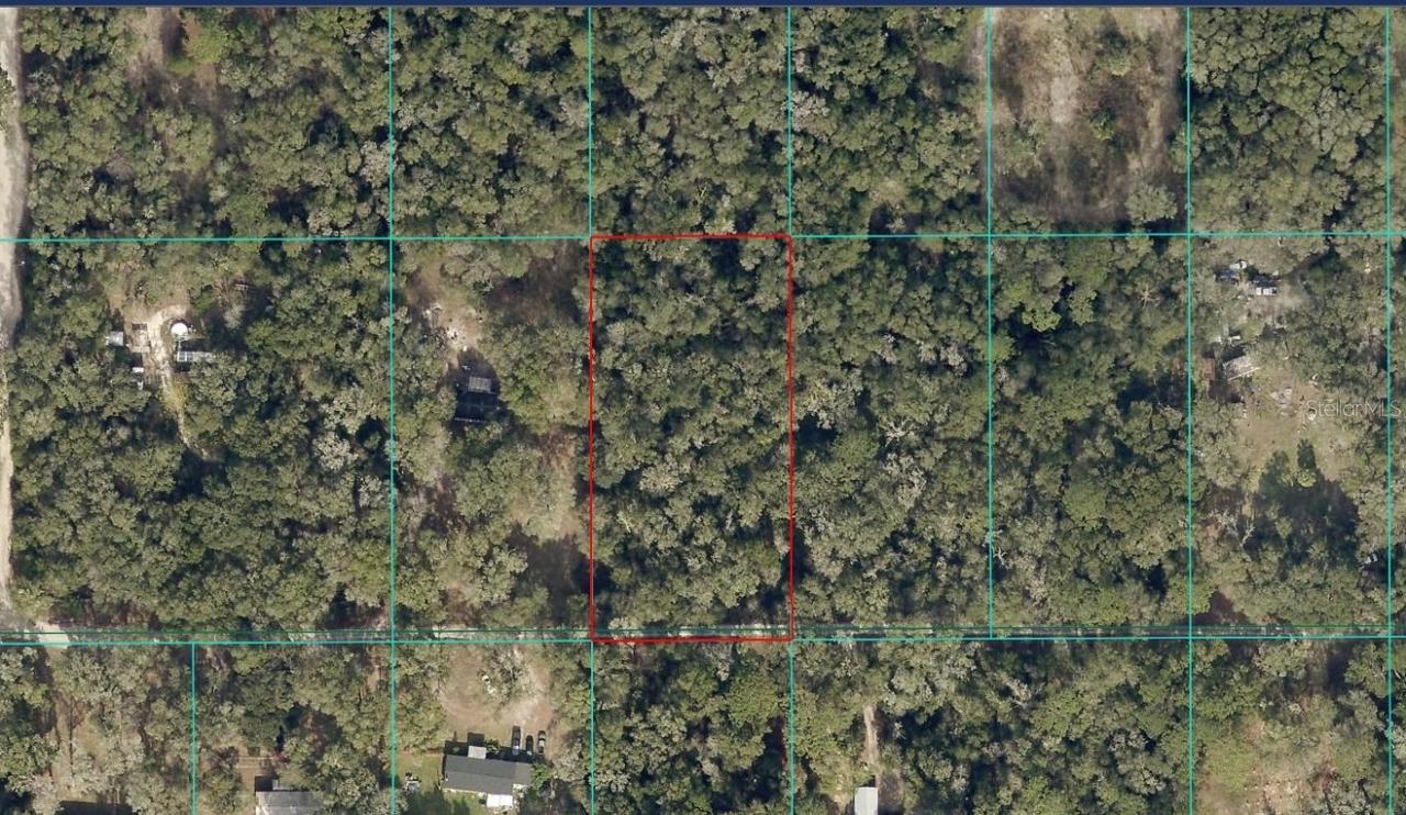 TBD SW 157th Ln., Dunnellon, FL 34432