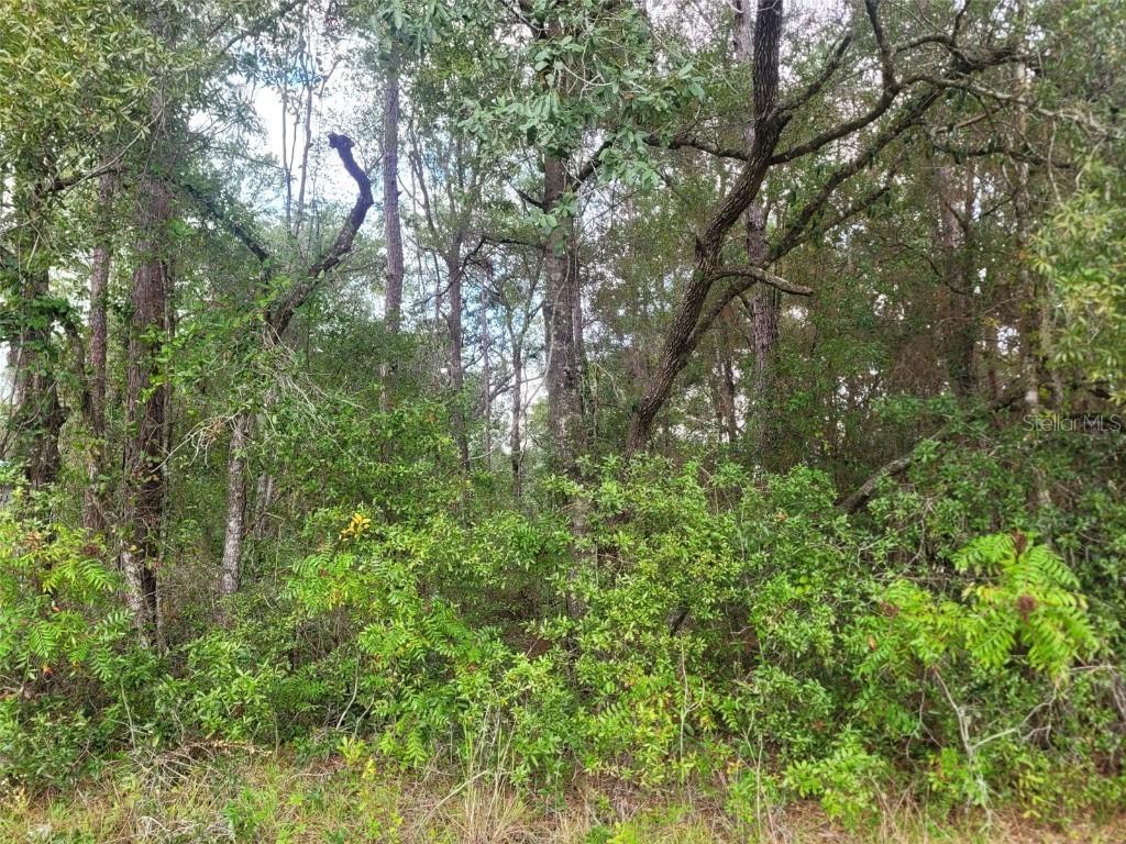9858 N Jourden Dr., Citrus Springs, FL 34434