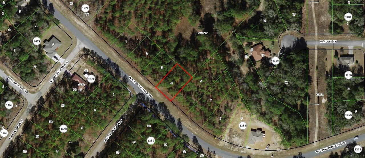 1605 W G Martinelli Blvd., Citrus Springs, FL 34434