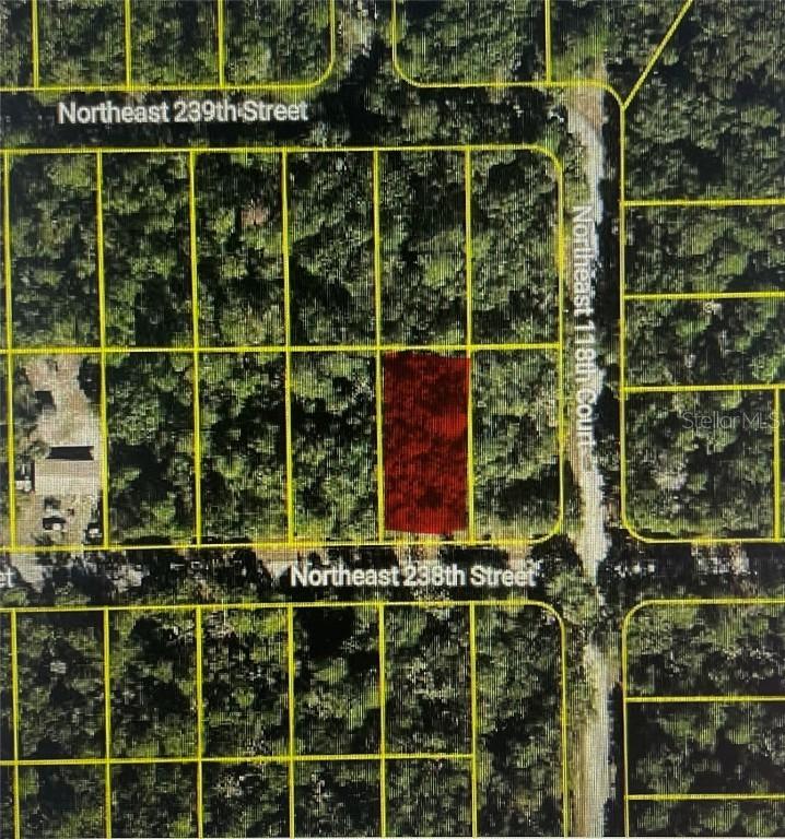 TBD NE 238th St, Fort Mc Coy, FL 32134