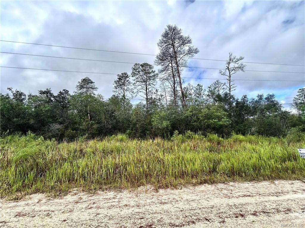 6480 N Pueblo Ter., Beverly Hills, FL 34465