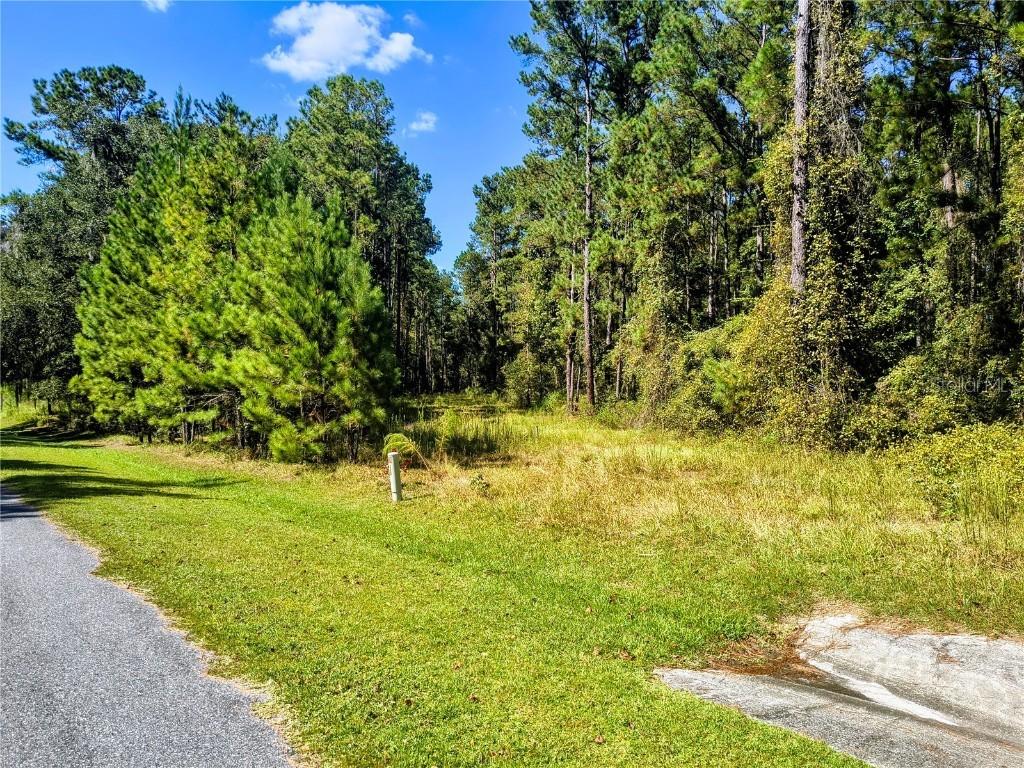 NW 148th Ln., Williston, FL 32696