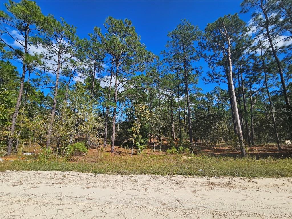 2171 SE 148th Ct., Morriston, FL 32668