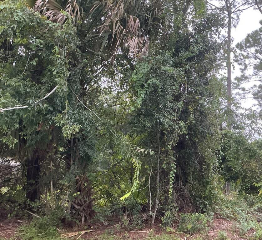 39 Whittington Dr., Palm Coast, FL 32164
