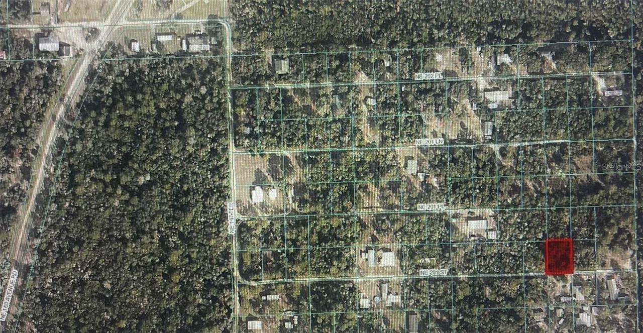 TBD NE 201st St, Fort Mc Coy, FL 32134