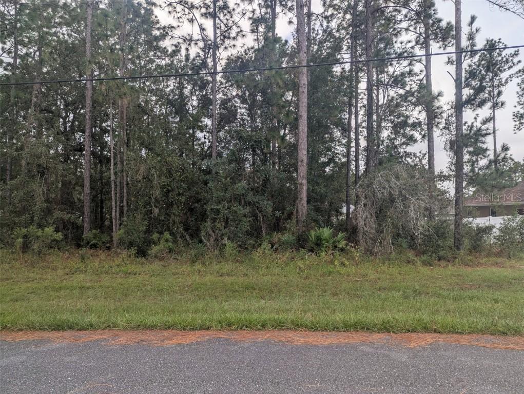 SW 132nd Street, Ocala, FL 34470
