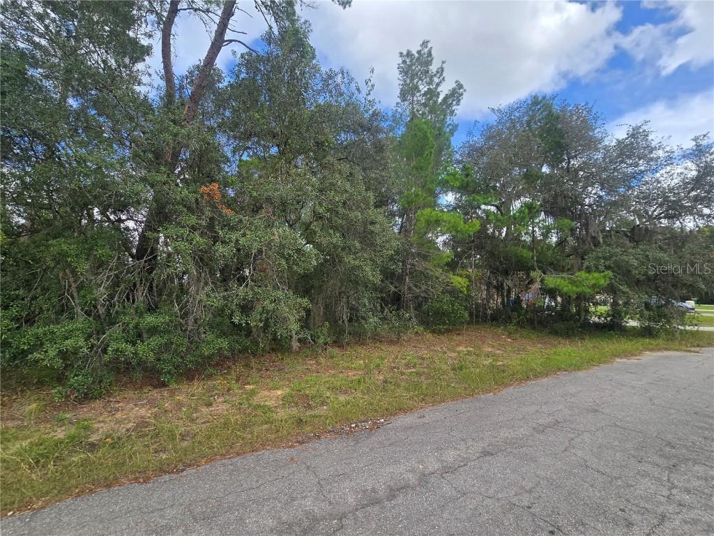 3006 Clearwood St., Inverness, FL 34452