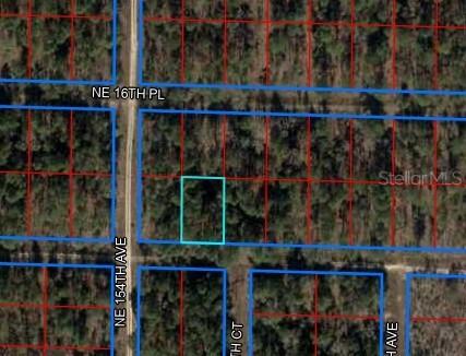 Ne 15th Lane, Williston, FL 32696