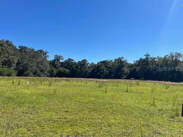 N Hwy 441, Citra, FL 32113