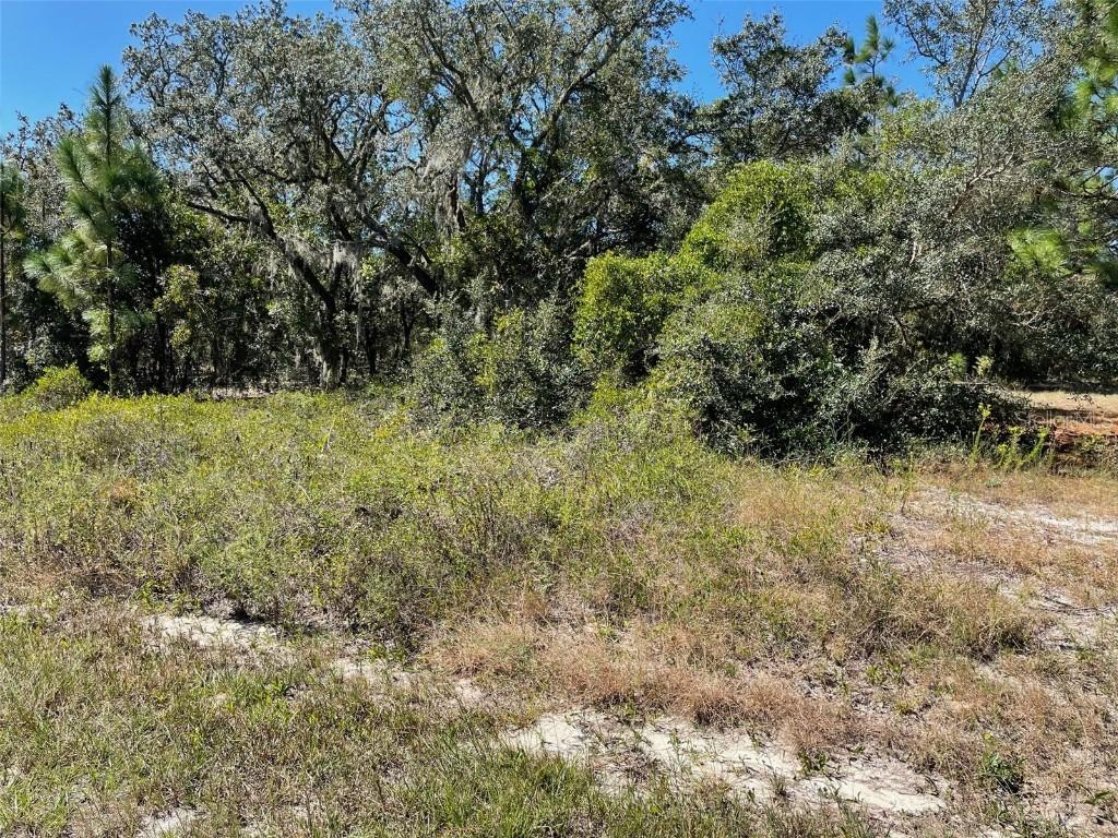 LOT 2 SW Winding Hills Rd., Dunnellon, FL 34431