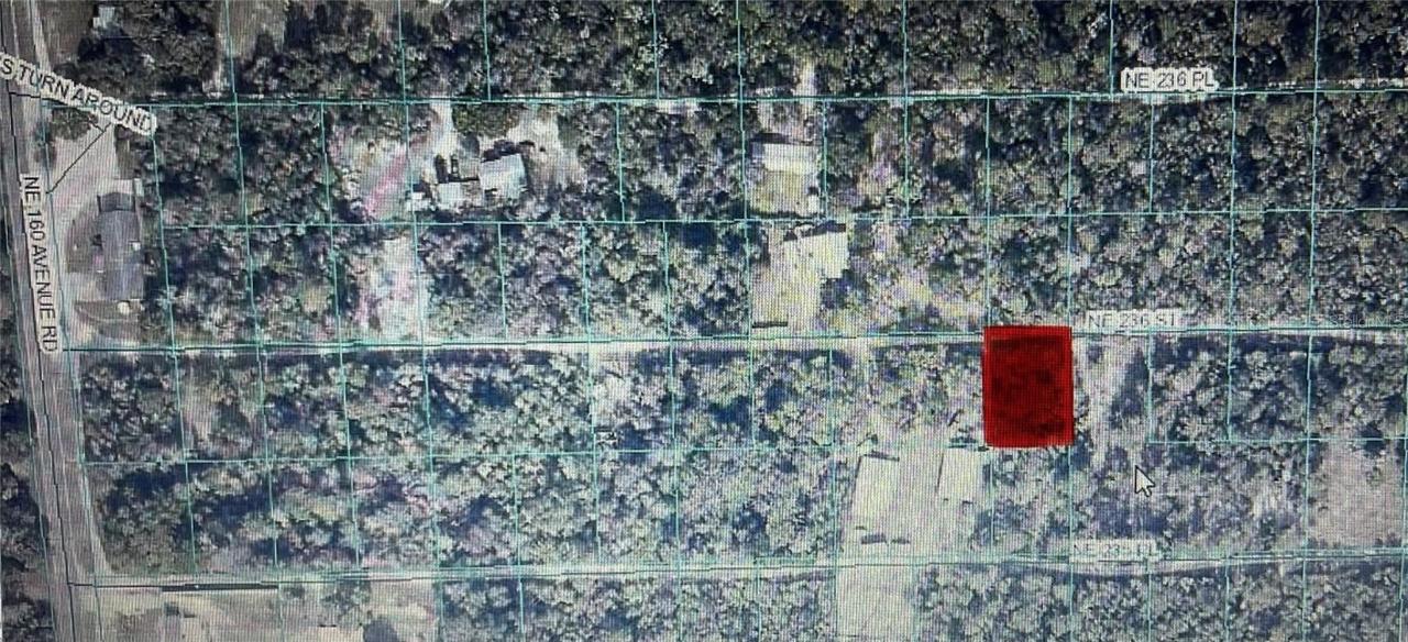 TBD NE 236th St. #RD #10, Fort Mc Coy, FL 32134
