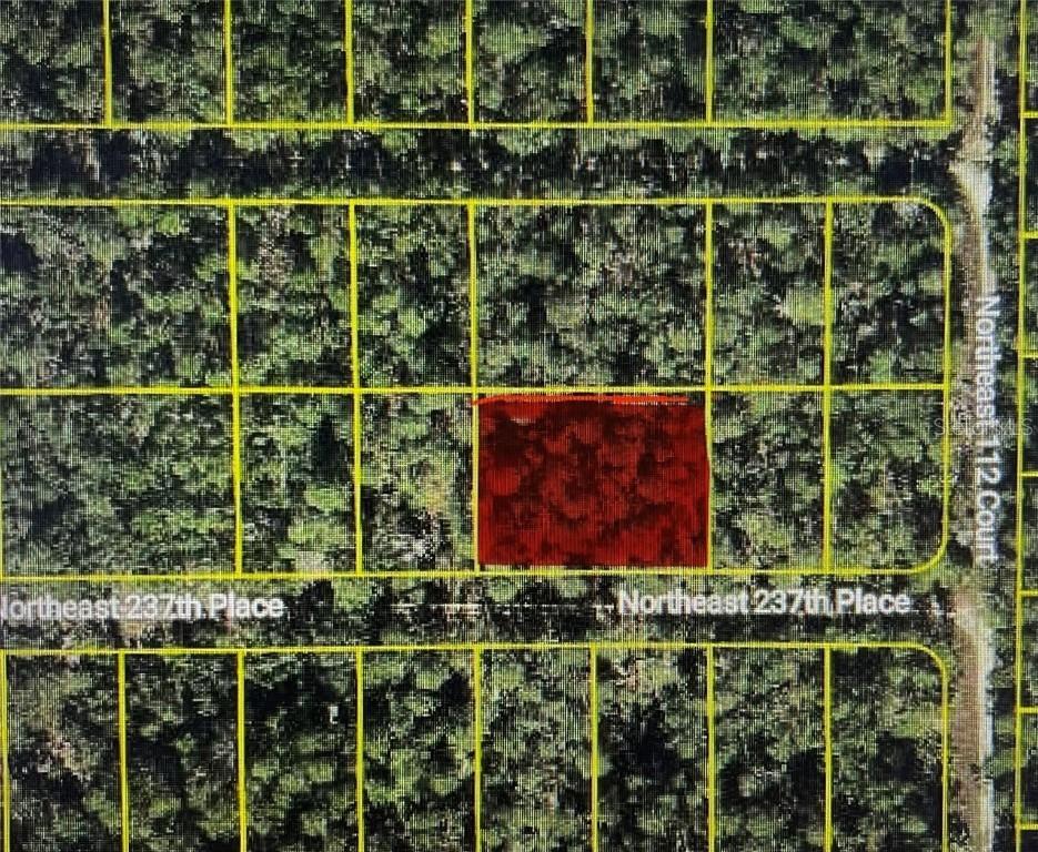 TBD NE 237th Pl., Fort Mc Coy, FL 32134