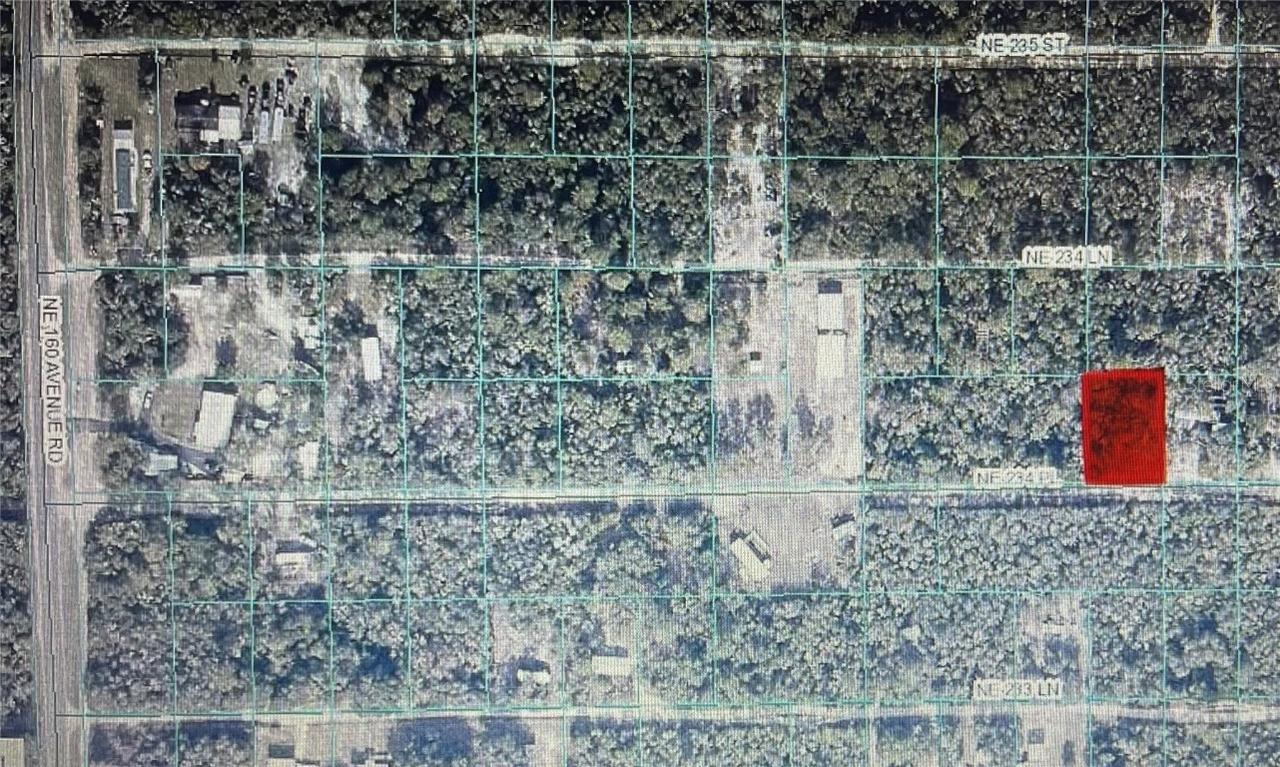 TBD NE Ne 234th Pl. #ROAD # 14, Fort Mc Coy, FL 32134
