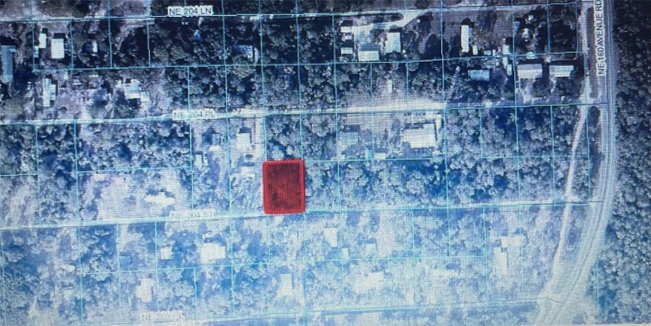 TBD NE Ne 204th St., Fort Mc Coy, FL 32134