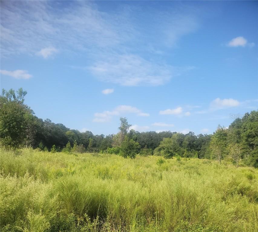 2826 NW 174th St., Newberry, FL 32669