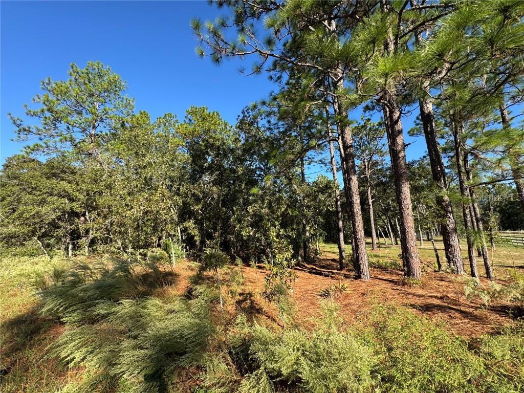 12351 SW 67th Ln., Ocala, FL 34481