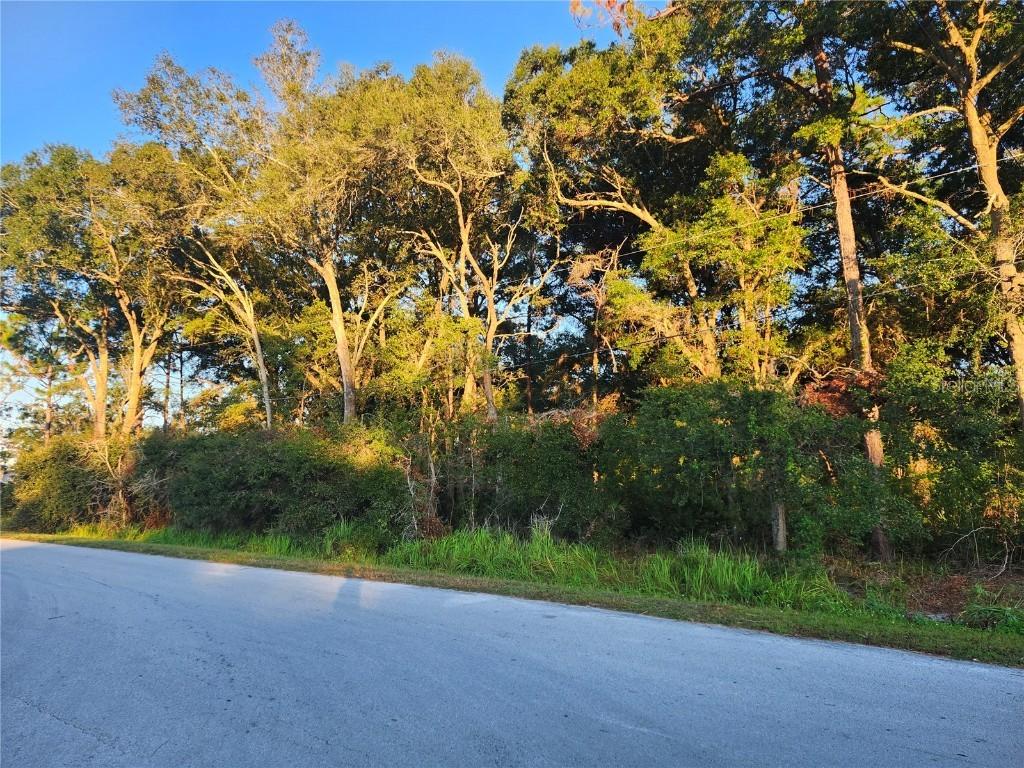 Cedar Trace, Ocala, FL 34472