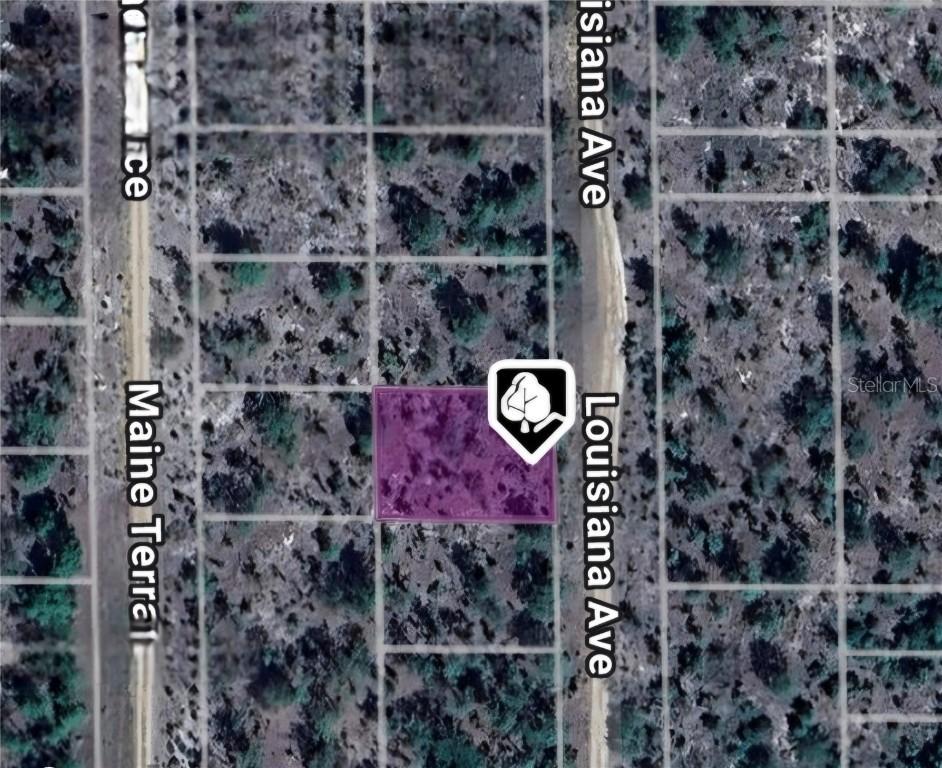 LOT 19 AND 20 Louisiana Ave., Hawthorne, FL 32640