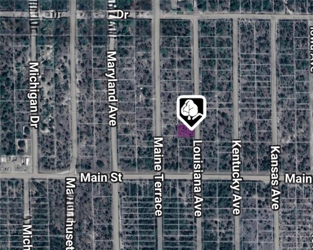 LOT 19 AND 20 Louisiana Ave., Hawthorne, FL 32640