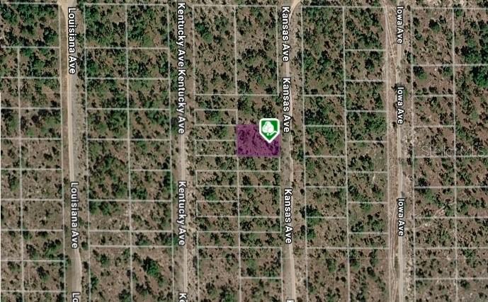 LOT 8 AND 9 Kansas Ave., Hawthorne, FL 32640