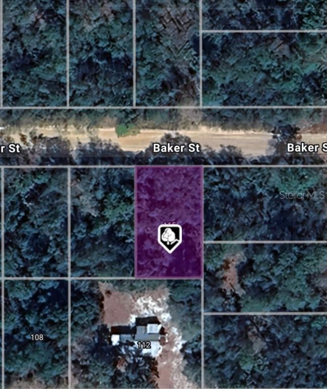LOT 8 Baker St., Interlachen, FL 32148
