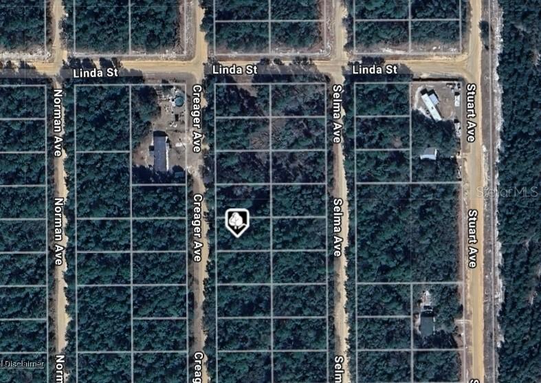 LOT 5 Creager Ave., Interlachen, FL 32148