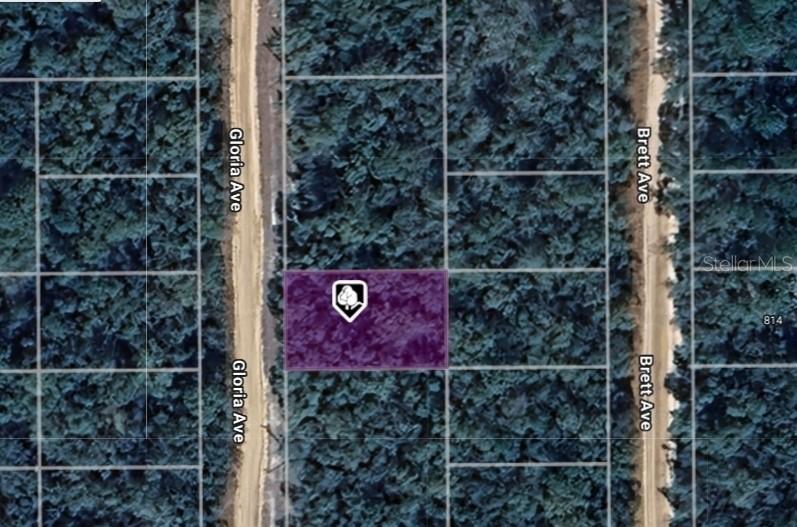 LOT 8 Gloria Ave., Interlachen, FL 32148
