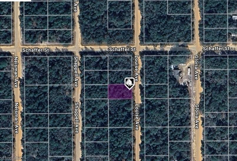 LOT 22 Louise Ave., Interlachen, FL 32148